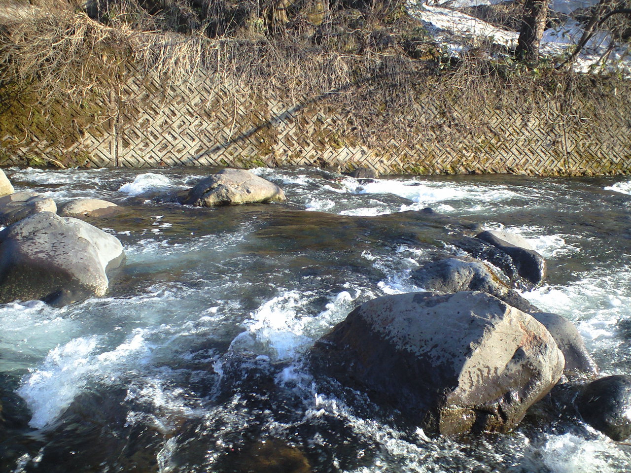 a0093677_2105798.jpg