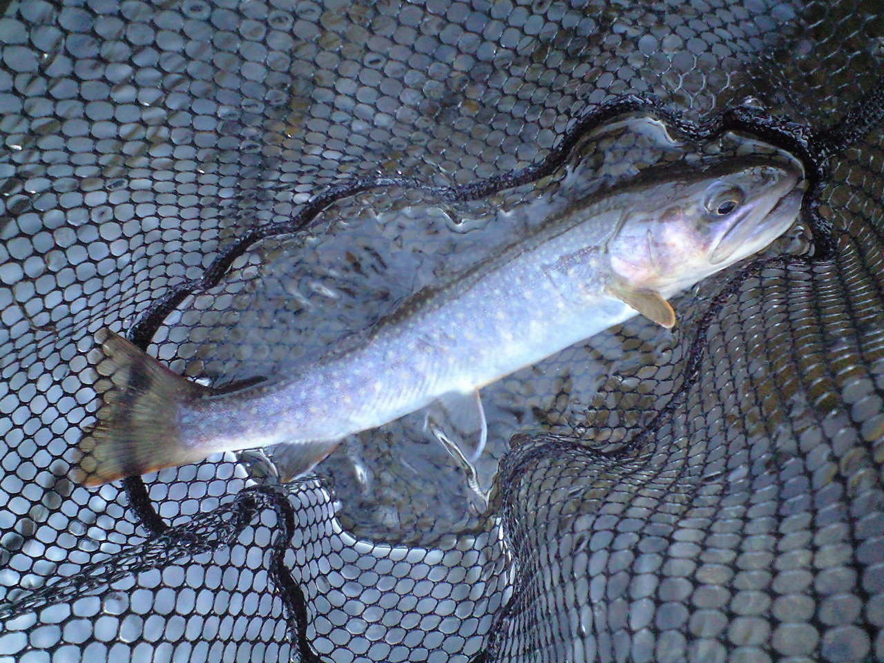 a0093677_211017.jpg