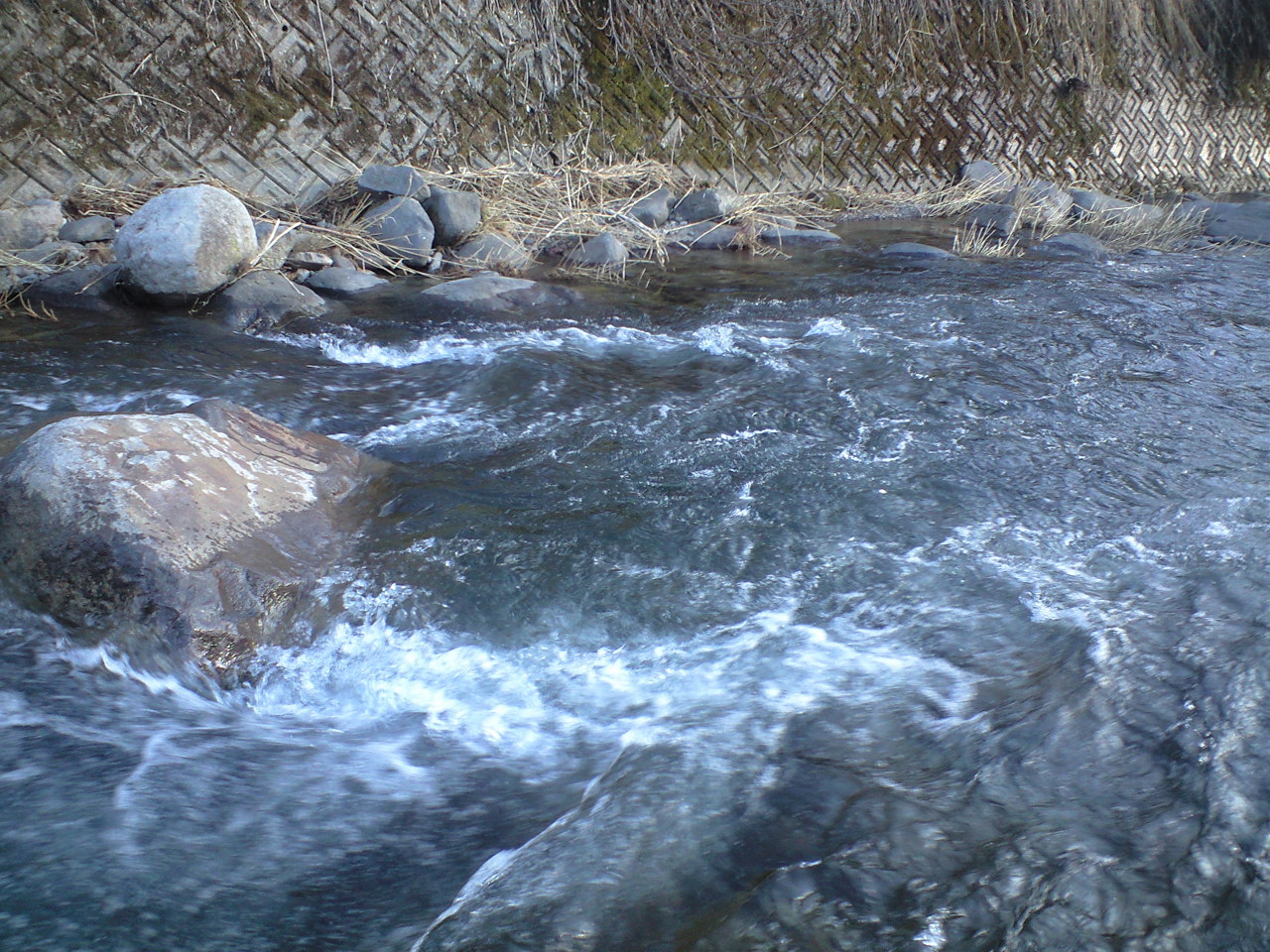a0093677_213877.jpg