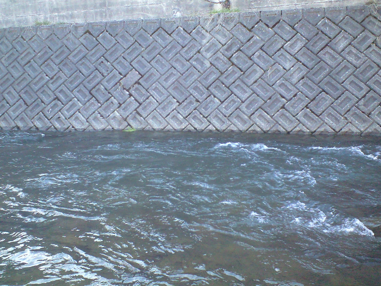 a0093677_242526.jpg