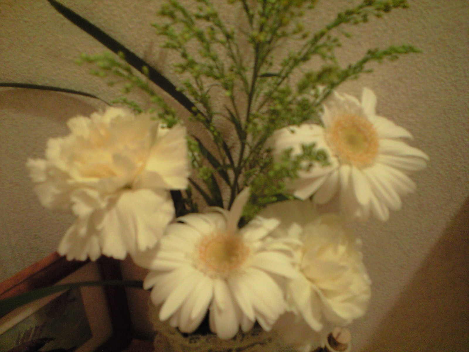 a0152078_166811.jpg