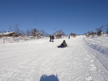 f0116278_13504136.jpg