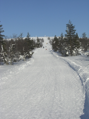 f0116278_13551752.jpg