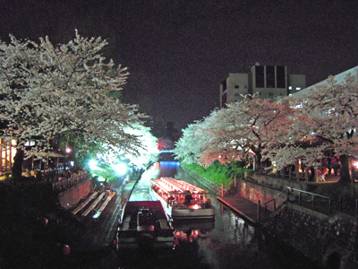 c0029281_23502519.jpg