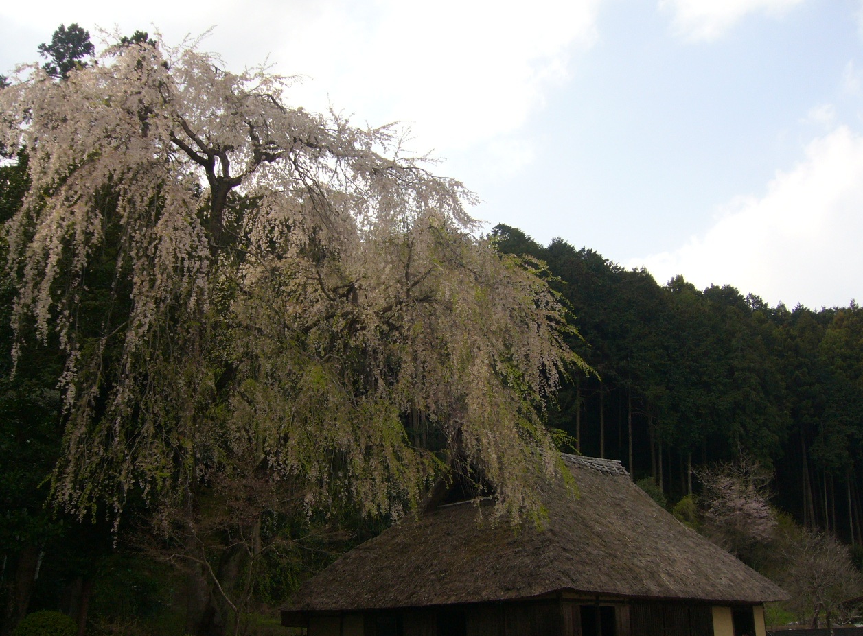 f0178381_20491014.jpg