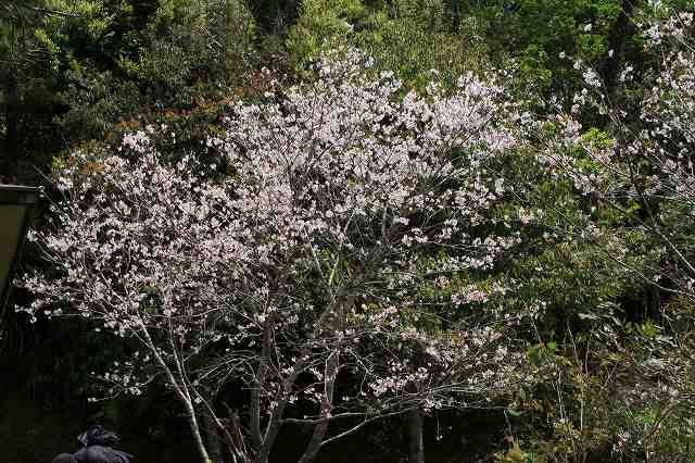 b0115085_18541399.jpg