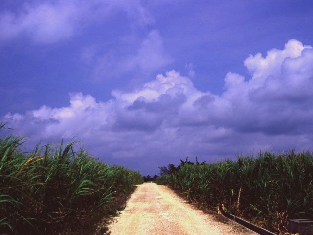 e0133087_160473.jpg