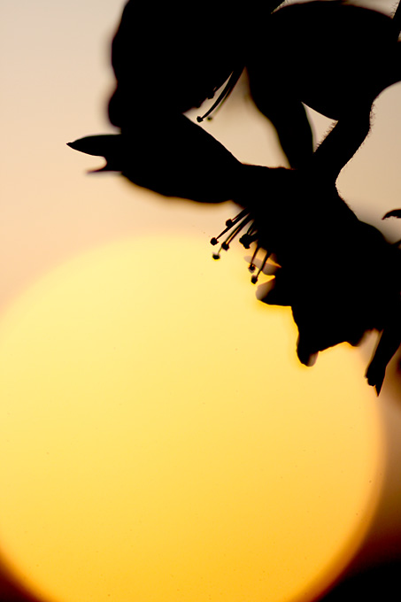 b0067789_20425310.jpg