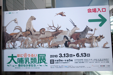 c0040191_22593534.jpg