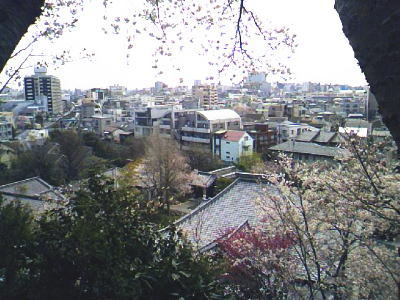 a0164292_22572093.jpg