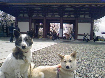a0164292_2258978.jpg