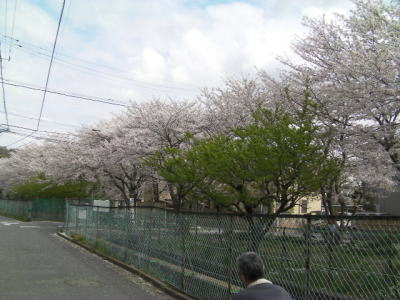 a0164292_23182476.jpg