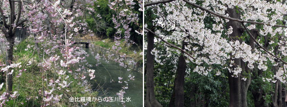 f0137096_17192949.jpg