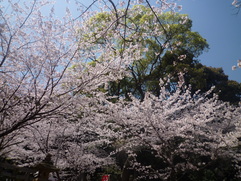 f0216098_223877.jpg