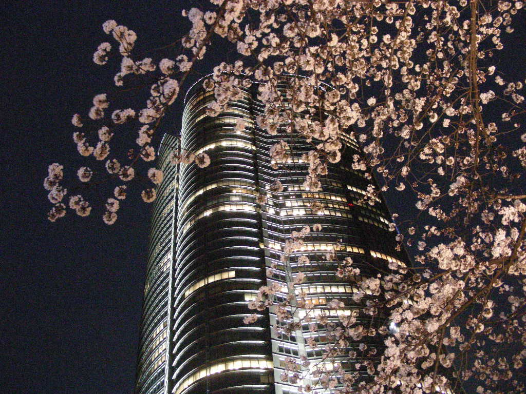 c0145299_2351117.jpg