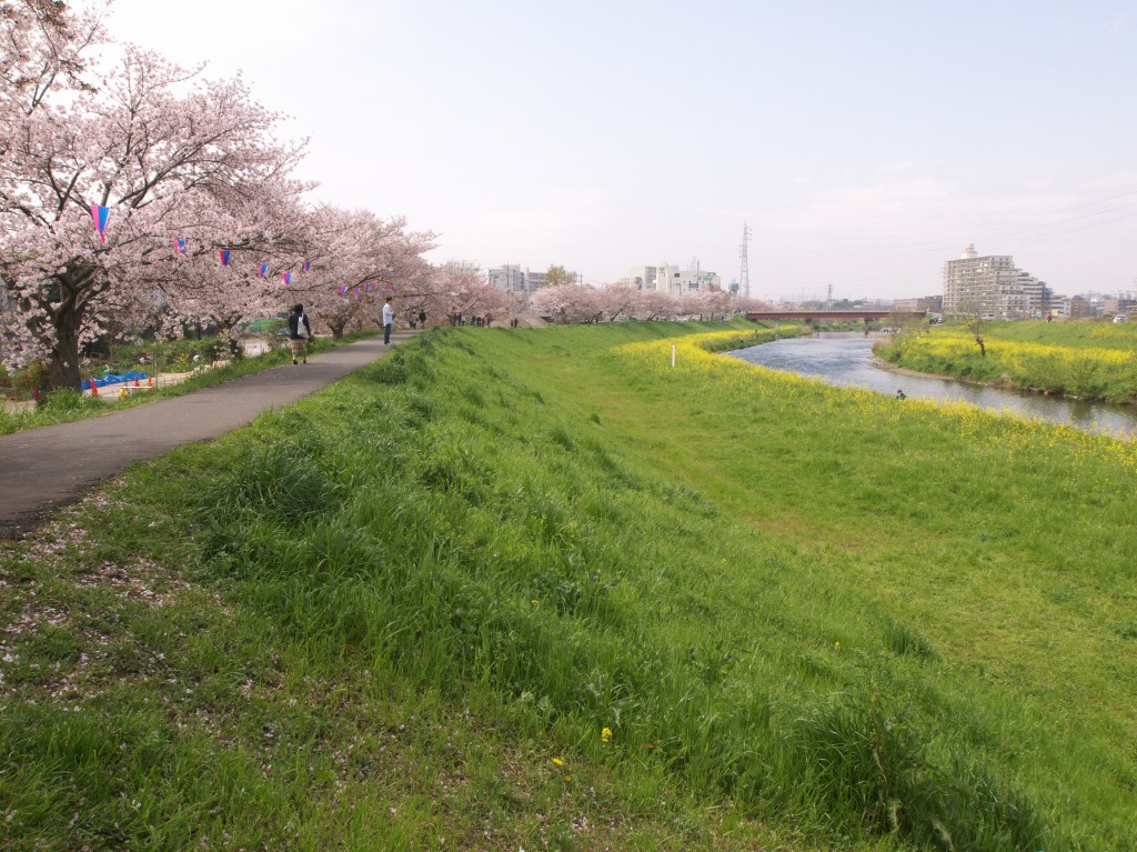 f0224100_23181315.jpg