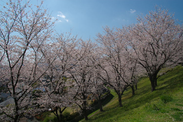 f0130601_18194463.jpg