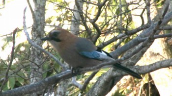 c0059002_21503499.jpg