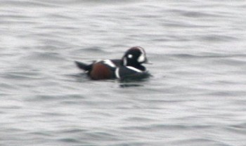 c0059002_21584337.jpg
