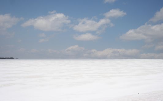 c0155902_21132178.jpg