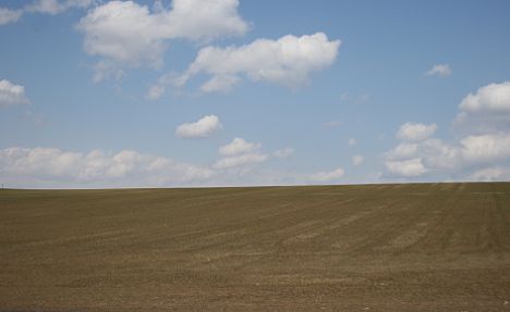 c0155902_21135582.jpg