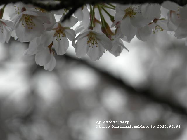 b0147203_155153100.jpg
