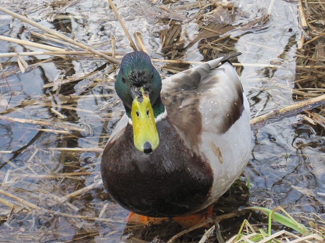 f0202703_2312853.jpg
