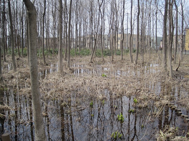 f0202703_2365431.jpg