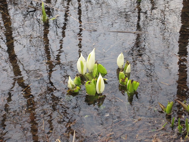 f0202703_2392497.jpg