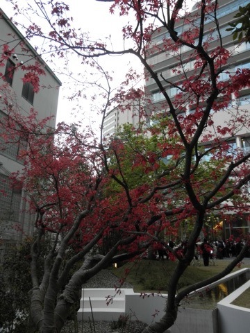 c0173105_22171941.jpg