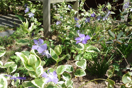 c0056707_10481064.jpg
