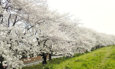 e0098908_11282415.jpg