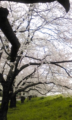 e0098908_11361254.jpg