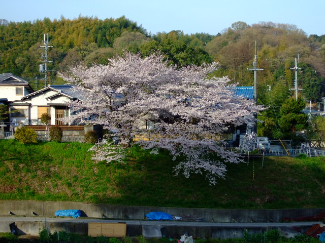 f0152308_18364133.jpg