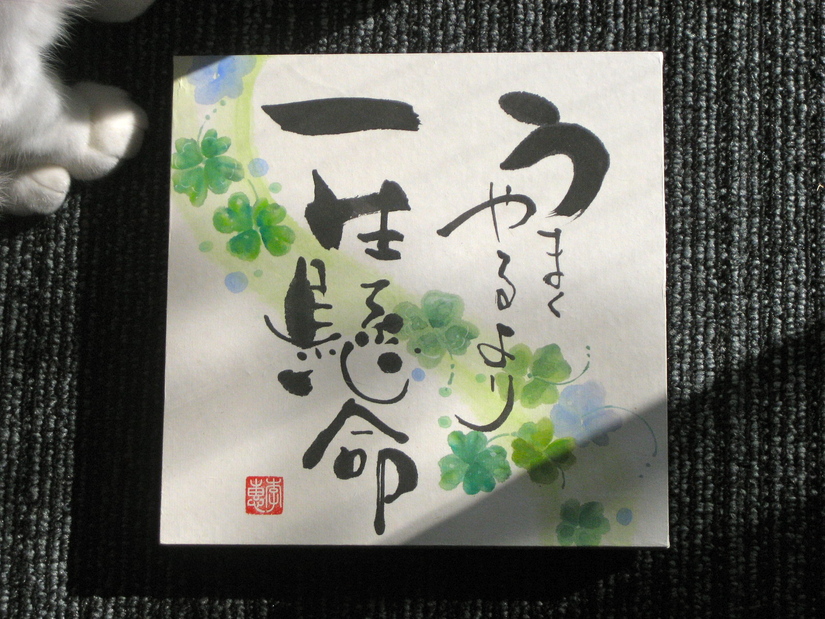 c0114110_1142495.jpg