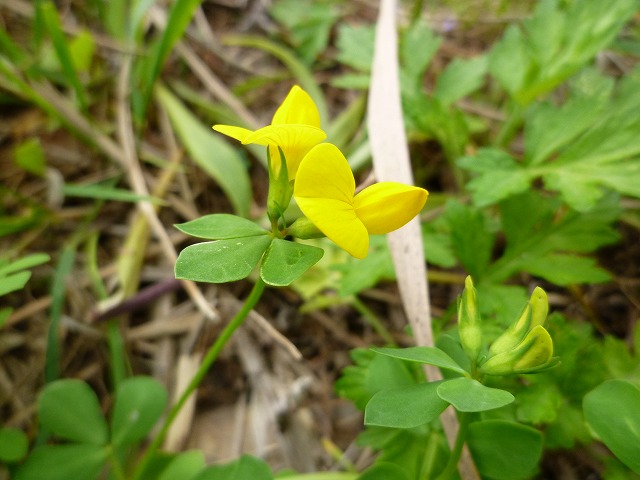 d0037110_23205945.jpg