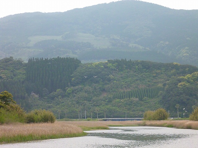 d0037110_23212236.jpg