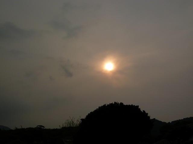 d0037110_2323198.jpg