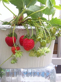 c0201113_21515056.jpg