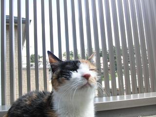 c0201113_21584246.jpg