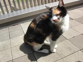 c0201113_2204486.jpg