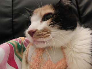 c0201113_2274767.jpg