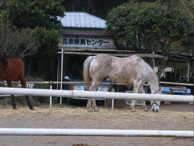 c0219815_2315042.jpg