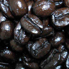 c0036617_1851055.jpg