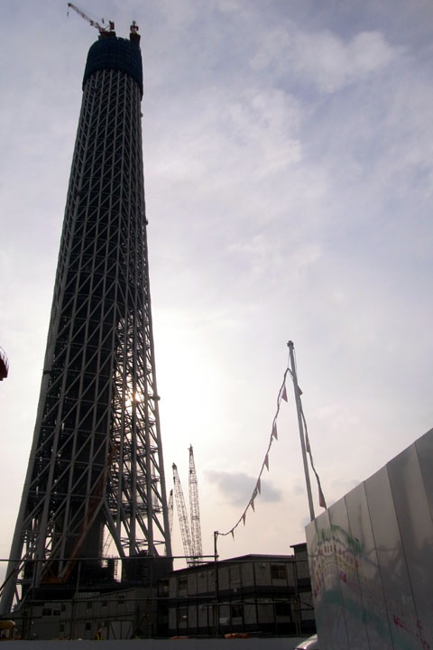 e0083517_315726.jpg