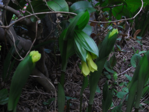 f0217217_2061591.jpg