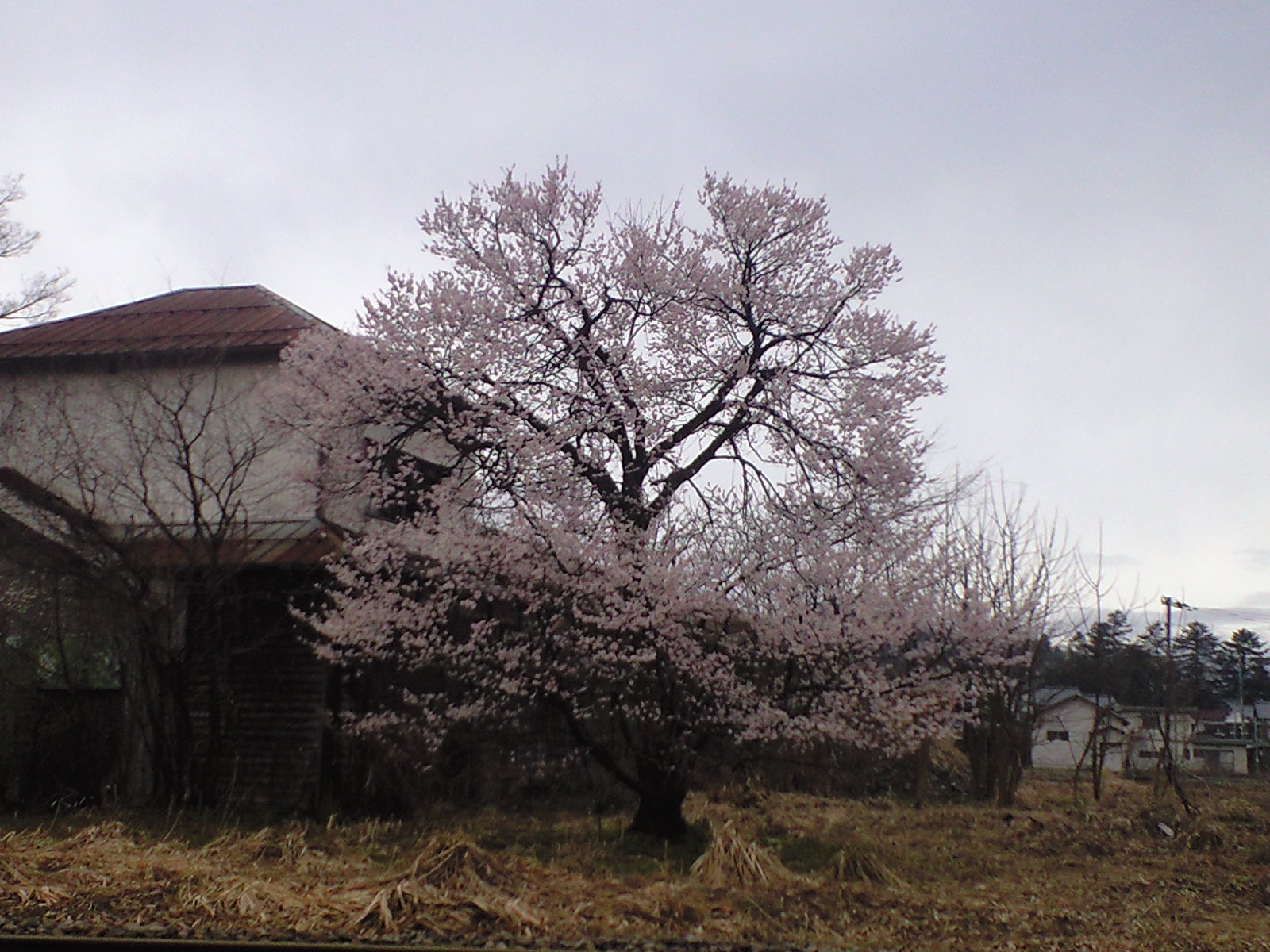 b0041918_10104515.jpg