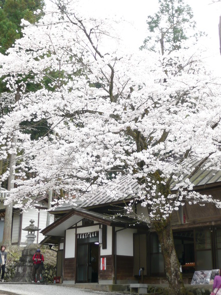 f0234820_234398.jpg