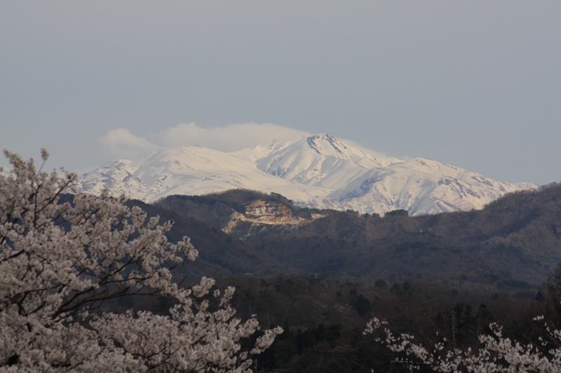 e0123322_17201072.jpg