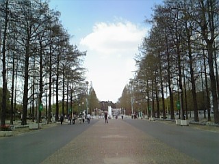 f0028132_22141630.jpg